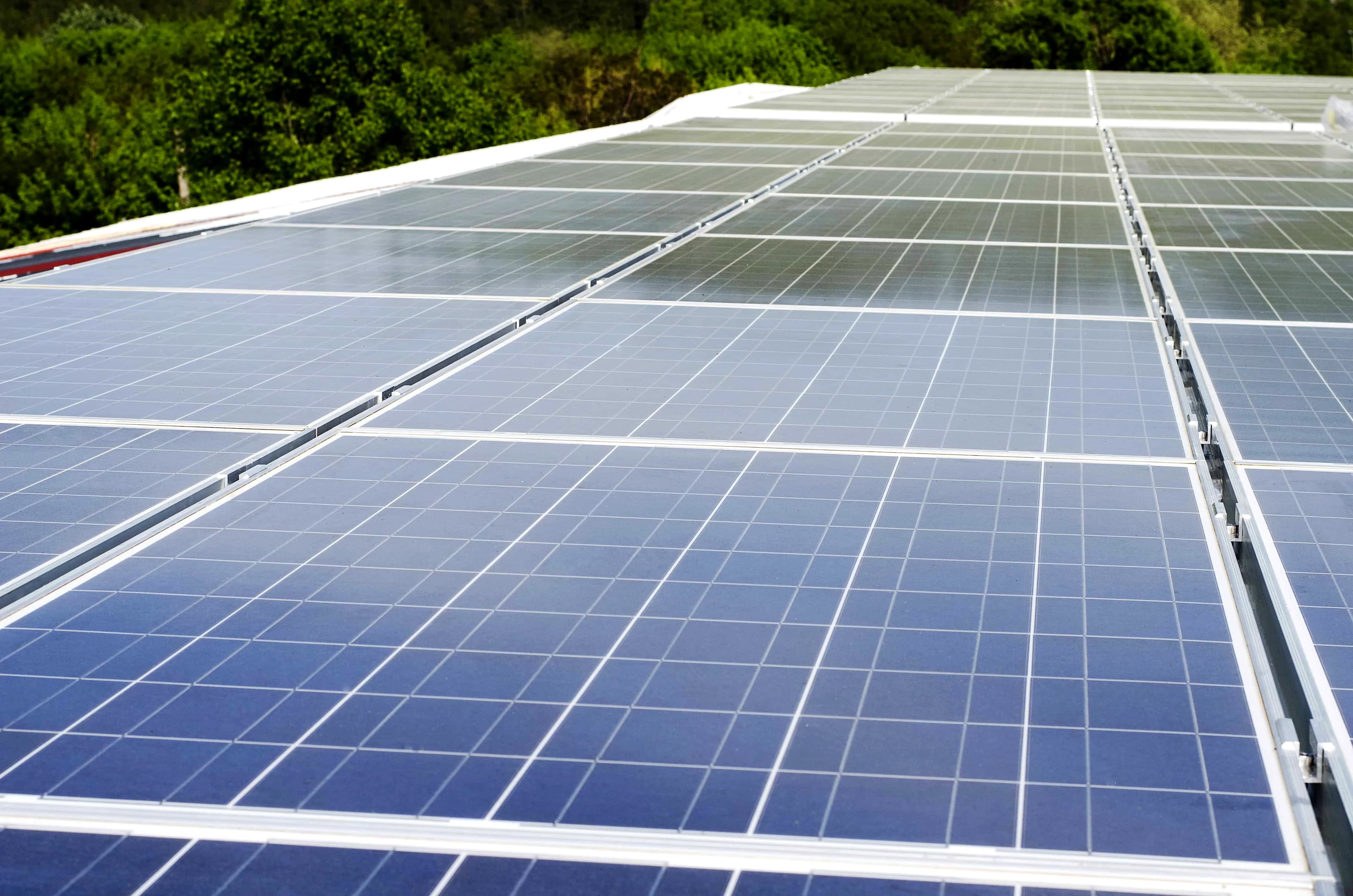 Should You Go Solar? Here's What You Need to Know
