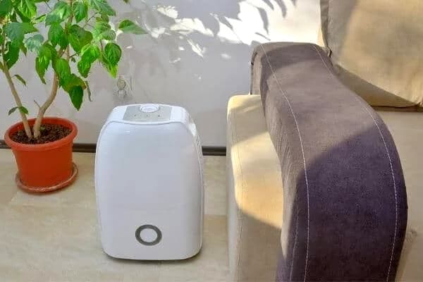 Choosing the Best Solar Powered Dehumidifier