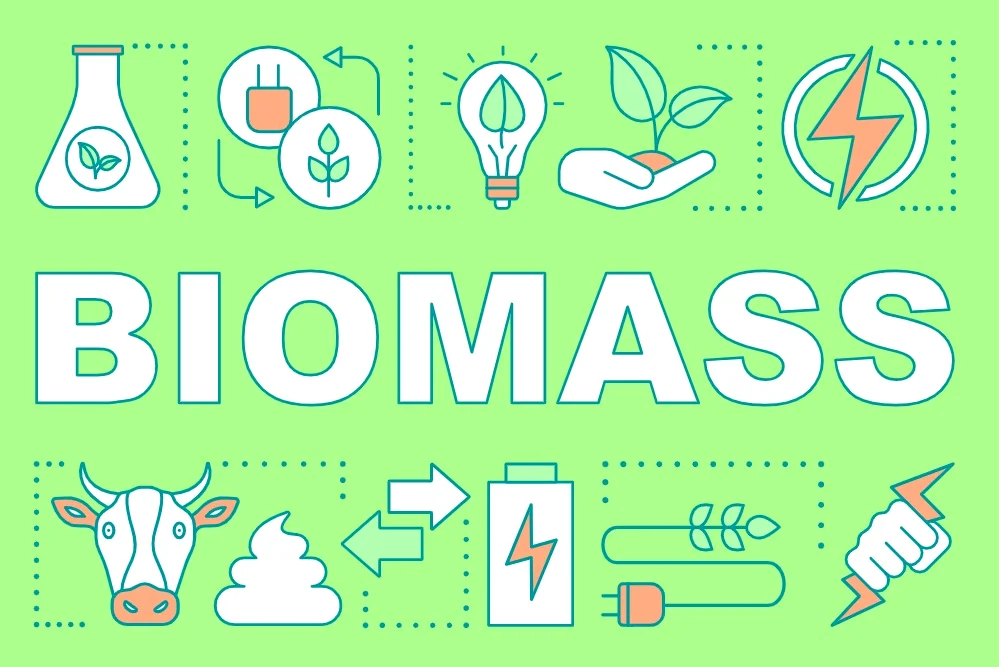 biomass